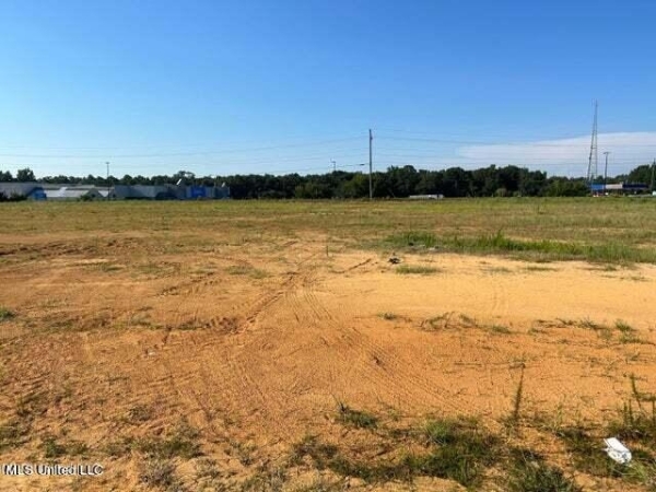 Listing Image #3 - Land for sale at 0 Ventura Drive, Lucedale MS 39452