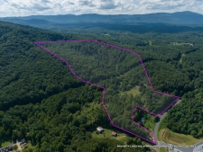 Land for sale in Mill Spring, NC