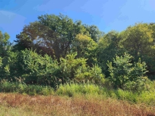 Land for sale in Whitehouse, TX