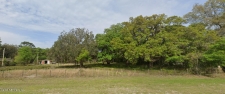 Listing Image #2 - Others for sale at 850343 Us Hwy 17, Yulee FL 32097