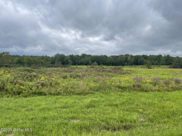 Listing Image #1 - Land for sale at L9 State Route 196, Hudson Falls NY 12839