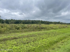 Listing Image #3 - Land for sale at L9 State Route 196, Hudson Falls NY 12839