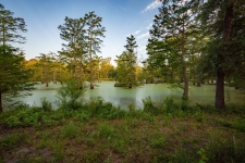 Listing Image #1 - Others for sale at FM134, Jefferson TX 75657