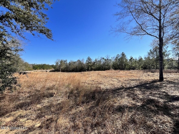 Listing Image #3 - Land for sale at 0 Highway 11 & Highland Parkway, Picayune MS 39466