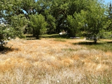Land property for sale in Naples, UT