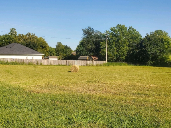 Listing Image #3 - Others for sale at 000 South Highway H, Pleasant Hope MO 65725