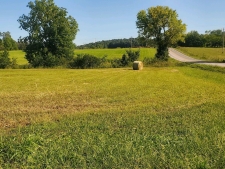 Others property for sale in Pleasant Hope, MO