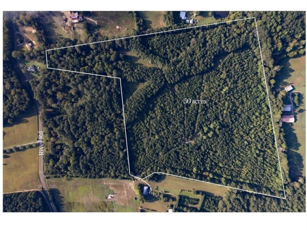 Listing Image #1 - Land for sale at River Road, Chatsworth GA 30705