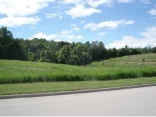 Land property for sale in BONDUEL, WI