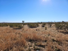 Listing Image #2 - Land for sale at 42nd Fickett Ave, Rosamond CA 93560
