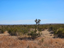 Listing Image #3 - Land for sale at 42nd Fickett Ave, Rosamond CA 93560