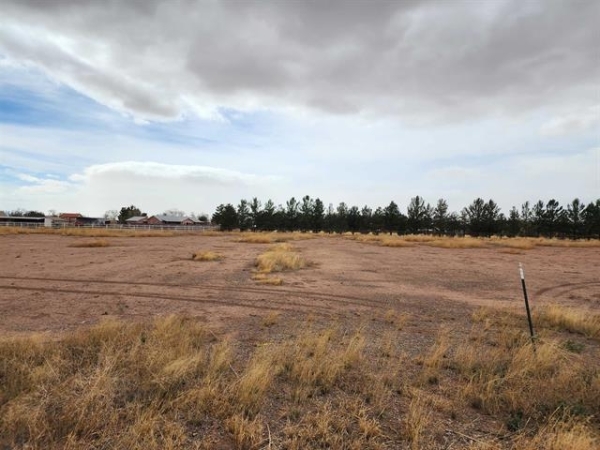 Listing Image #3 - Land for sale at Rosa del sol Replat A, Tularoa NM 88352