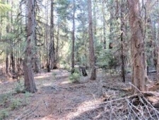 Others property for sale in Shingletown, CA