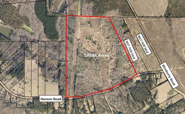 Listing Image #1 - Land for sale at 130.61 Acres Henson Road, Hawkinsville GA 31036