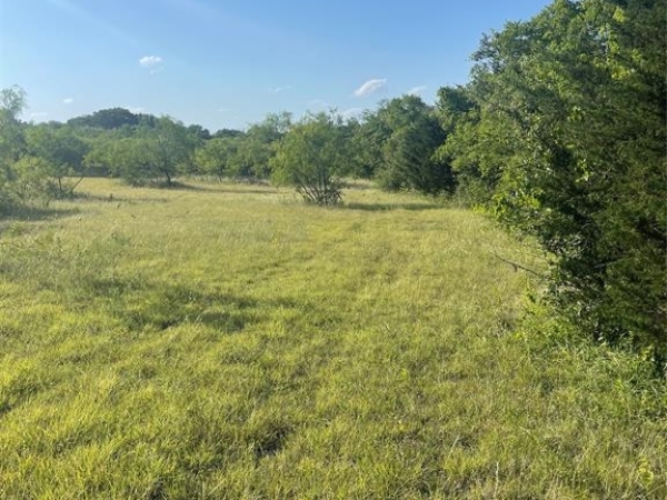 Listing Image #2 - Land for sale at TBA Hwy 287, Ennis TX 75119