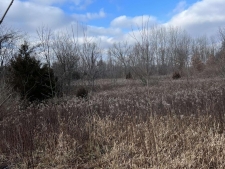 Listing Image #3 - Others for sale at cr 115 vacant land Road, Goshen IN 46528