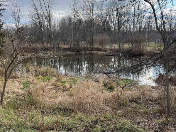 Listing Image #3 - Others for sale at cr 115 vacant land Road, Goshen IN 46528