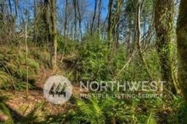 Listing Image #3 - Land for sale at 13750 97TH AVENUE NE, KIRKLAND WA 98034