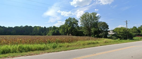 Listing Image #3 - Land for sale at 2742 Raccoon Road, Manning SC 29102