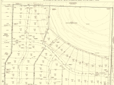 Listing Image #3 - Land for sale at 1050 Hawk Lane, New Home TX 79381