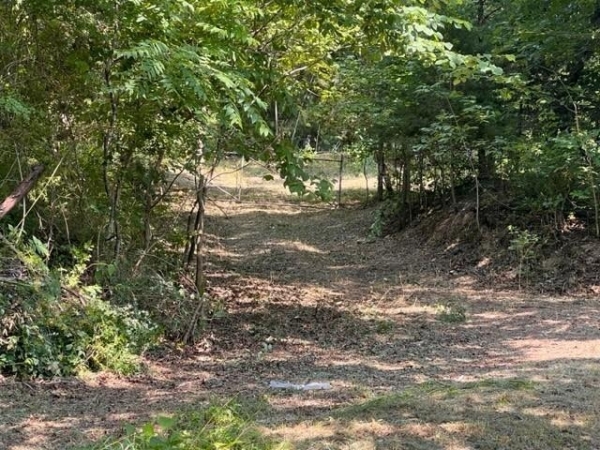 Listing Image #2 - Land for sale at 5175 Bryant Hollow Rd, Cunningham TN 37052