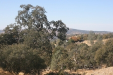 Land for sale in Coarsegold, CA