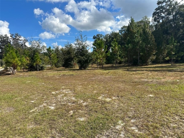 Listing Image #3 - Land for sale at TBD SW 24th Avenue, Gainesville FL 32607