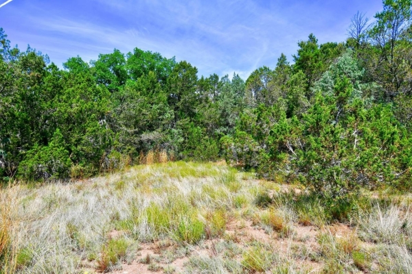 Listing Image #3 - Land for sale at 12141 Nm State 14, Cedar Crest NM 87008