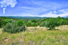 Listing Image #2 - Land for sale at 12141 Nm State 14, Cedar Crest NM 87008