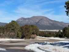 Listing Image #2 - Others for sale at 34 Punch Court, Tijeras NM 87059
