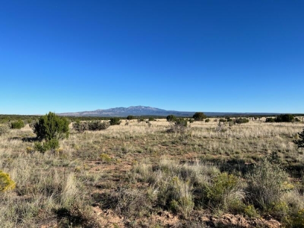 Listing Image #2 - Others for sale at 210 Acres N Of Chupadero Rd, Mountainair NM 87036