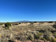 Listing Image #1 - Others for sale at 210 Acres N Of Chupadero Rd, Mountainair NM 87036
