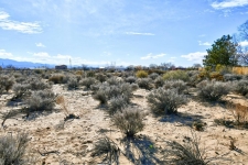 Listing Image #2 - Others for sale at Lot 37 Dulce Court, Corrales NM 87048