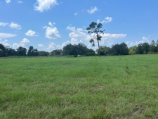 Land property for sale in Colquitt, GA