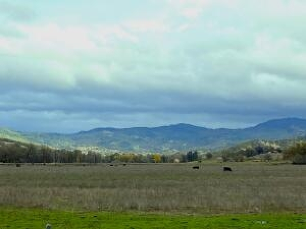 Listing Image #1 - Others for sale at S Cow Creek Rd, Millville CA 96096
