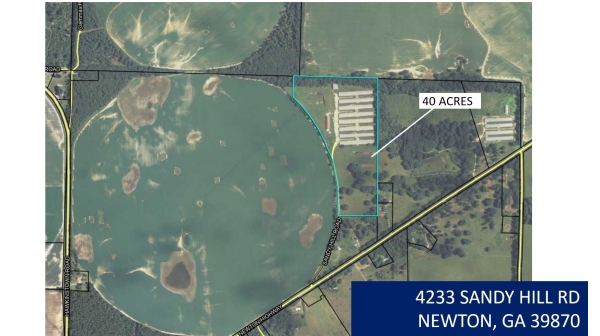 Listing Image #3 - Land for sale at 4233 Sandy Hill Rd, Newton GA 39870