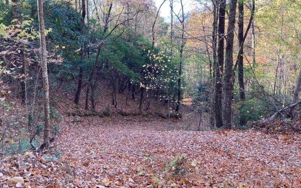 Listing Image #2 - Land for sale at 4.62 Acr Horton Road, Murphy NC 28906
