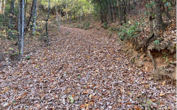 Listing Image #3 - Land for sale at 4.62 Acr Horton Road, Murphy NC 28906