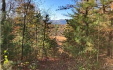 Listing Image #1 - Land for sale at 4.62 Acr Horton Rd, Murphy NC 28906