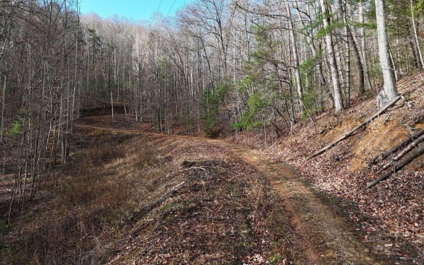 Listing Image #2 - Land for sale at 4 AC Park Hill Avenue, Blairsville GA 30512