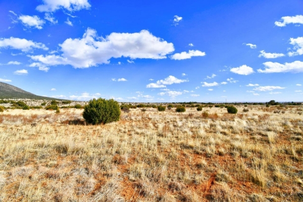 Listing Image #2 - Others for sale at 14 Entranosa Court, Edgewood NM 87015