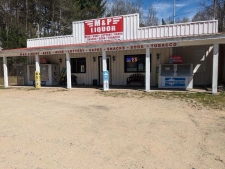 Retail for sale in Weidman, MI