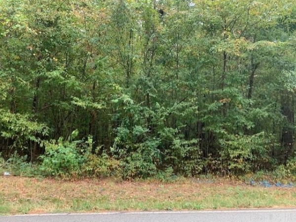 Listing Image #2 - Land for sale at Salem Road, Benton AR 72019