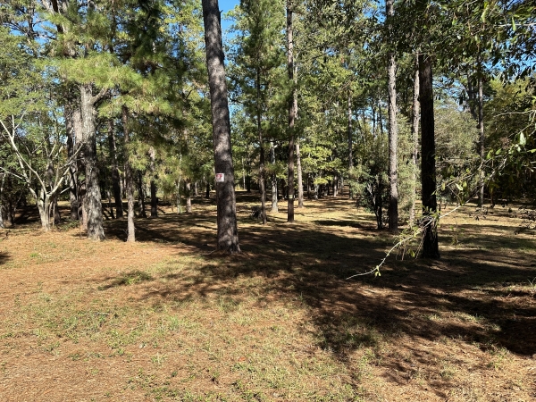 Listing Image #1 - Land for sale at 56 Lake Forgetful, Hattiesburg MS 39402