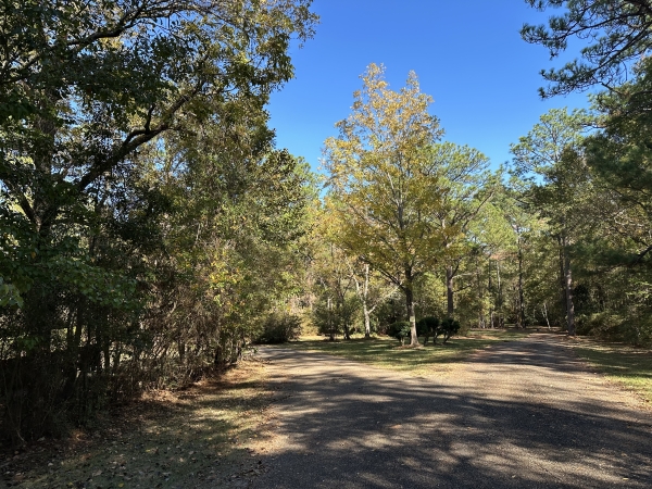 Listing Image #3 - Land for sale at 56 Lake Forgetful, Hattiesburg MS 39402