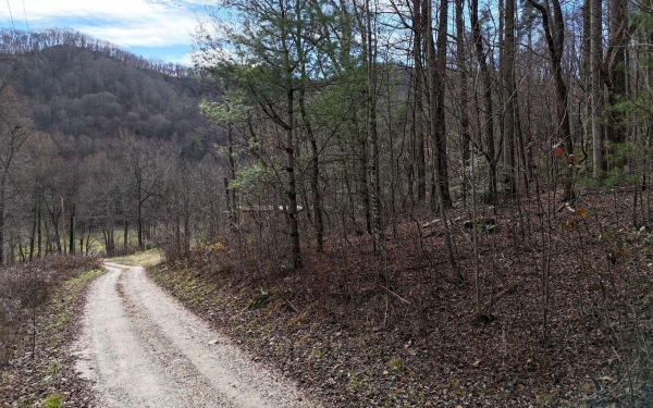 Listing Image #2 - Land for sale at 2.47 Acre Bob Anderson Rd, Robbinsville NC 28771