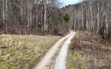 Land for sale in Robbinsville, NC