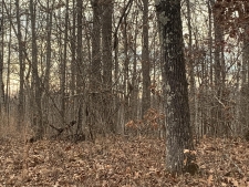 Land for sale in Tennessee Ridge, TN