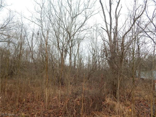Listing Image #2 - Land for sale at River Corners Road, Spencer OH 44275