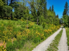 Land for sale in Nevada City, CA